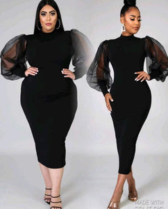 Black butterfly